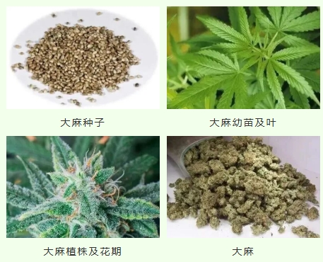 屏幕截图_28-10-2025_10472_www.135editor.com 屏幕截图_28-10-2025_10472_www.135editor.com